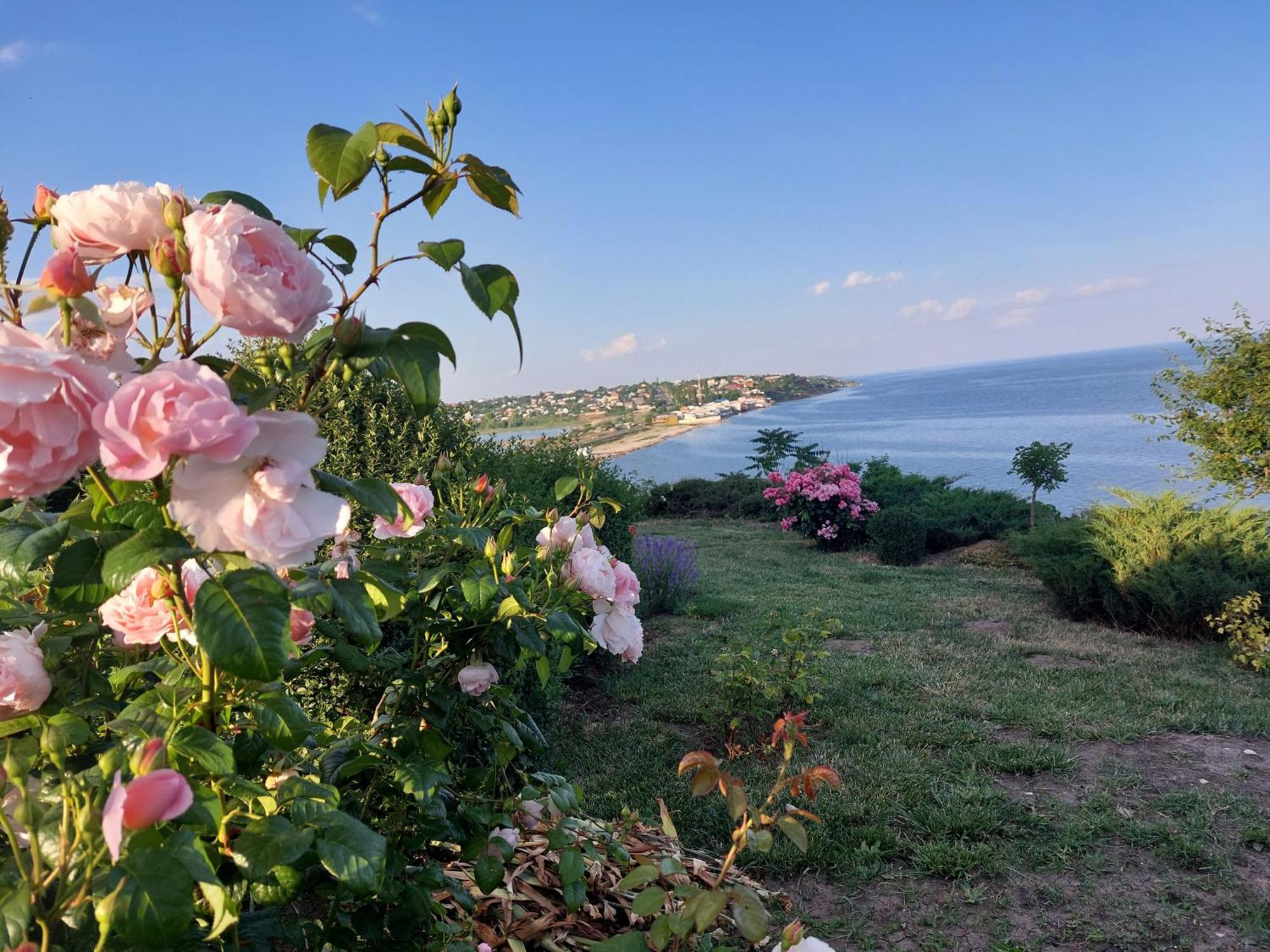 Villa Lavanda Vapnyarka Luaran gambar